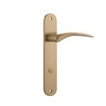 15728P85 - Oxford Lever - Oval Backplate - Brushed Brass - Privacy