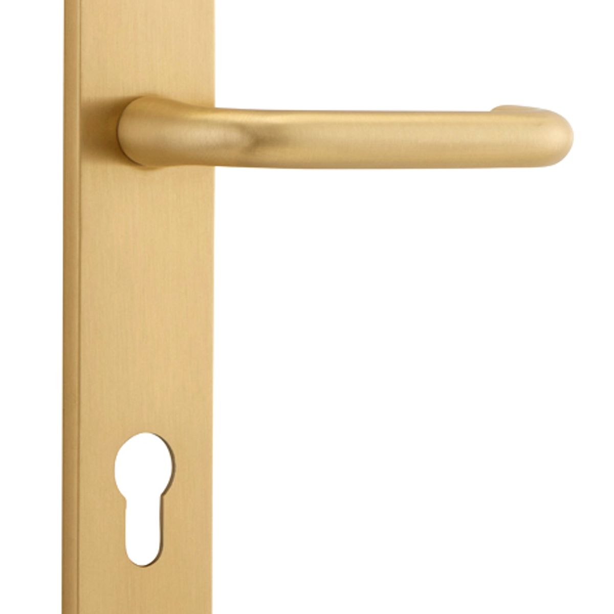 15346E85 - Oslo Lever - Oval Backplate - Brushed Brass - Entrance