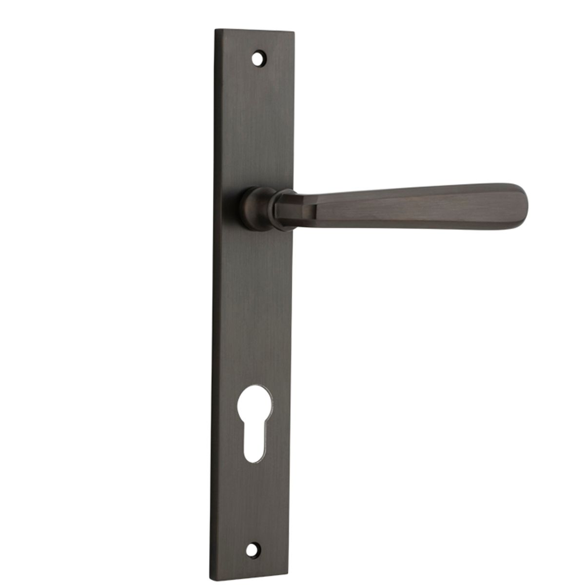 10872E85 - Copenhagen Lever - Rectangular Backplate - Signature Brass - Entrance