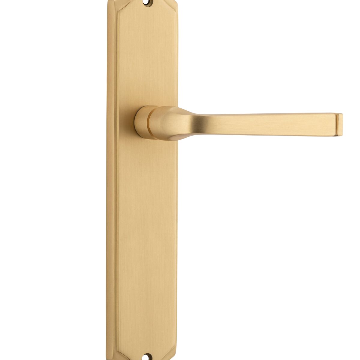 15220 - Annecy Lever - Shouldered Backplate - Brushed Brass - Passage