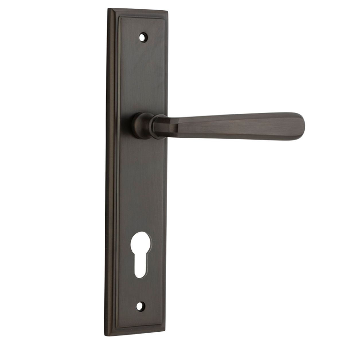10878E85 - Copenhagen Lever - Stepped Backplate - Signature Brass - Entrance