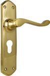 Windsor Lever - Long Backplate