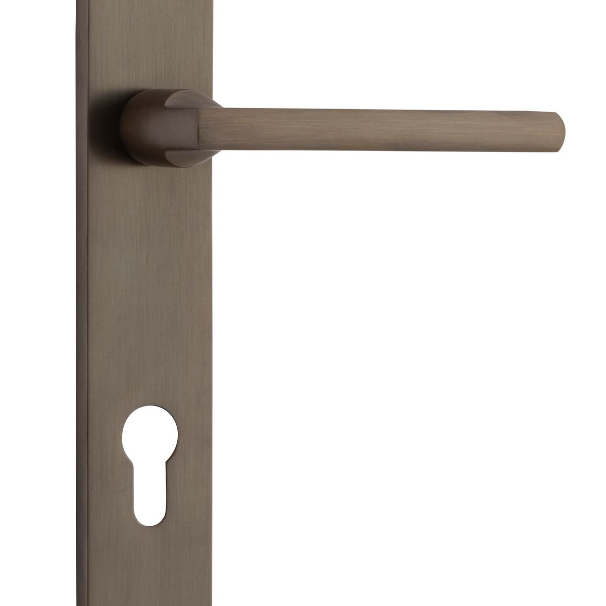 10726E85 - Baltimore Lever - Oval Backplate - Signature Brass - Entrance