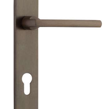 Baltimore Lever - Oval Backplate