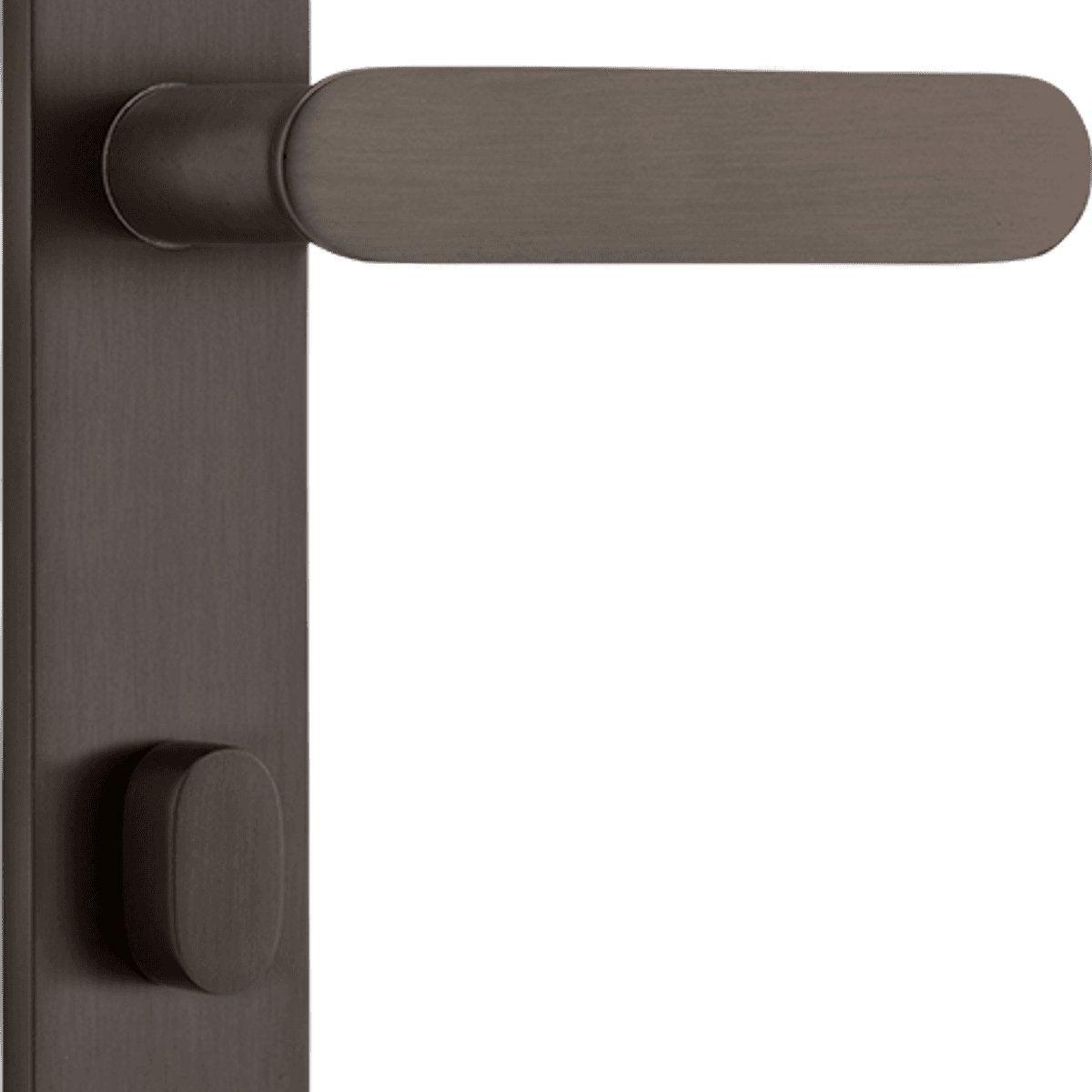 10764P85 - Bronte Lever - Oval Backplate - Signature Brass - Privacy