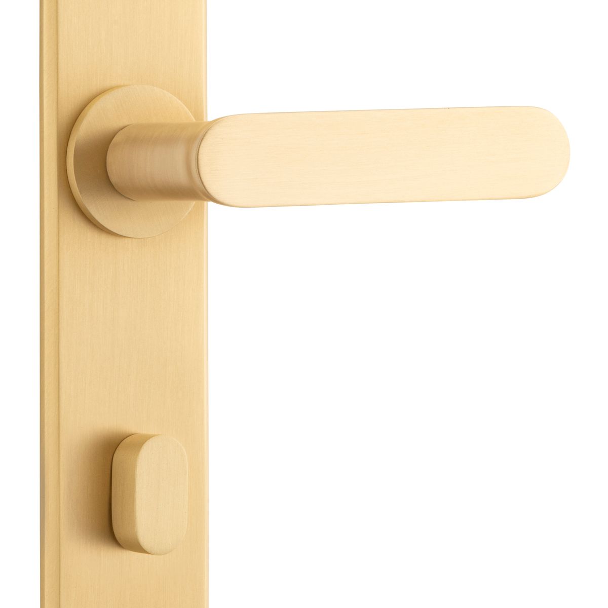 15284P85 - Bronte Lever - Chamfered Backplate - Brushed Brass - Privacy