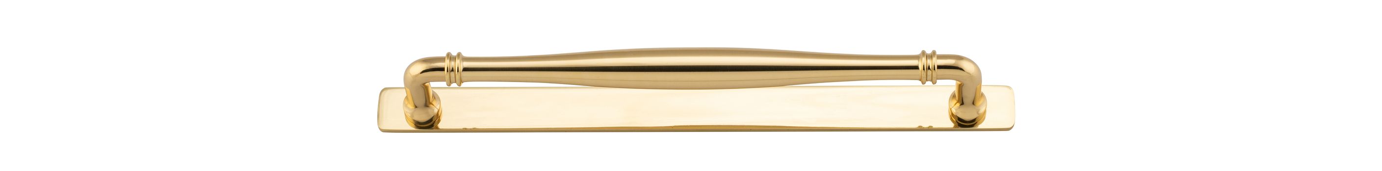 Sarlat Cabinet Pull with Backplate - CTC256mm