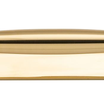 Sarlat Cabinet Pull with Backplate - CTC256mm