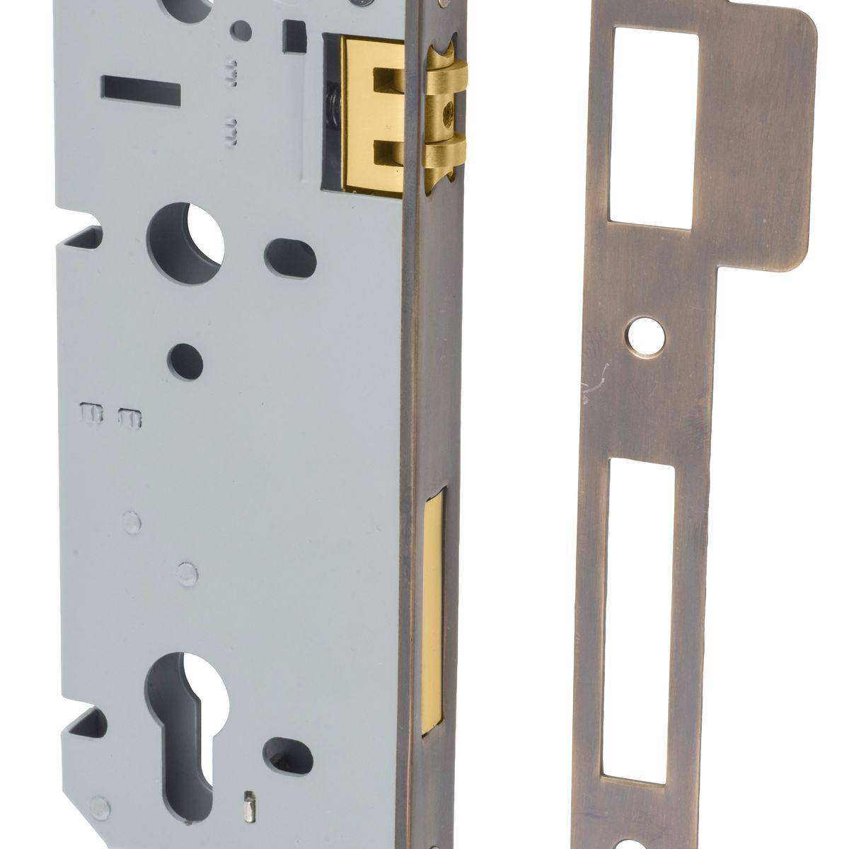 6038 - 85mm Euro Roller Mortice Lock - 45mm Backset - Signature Brass