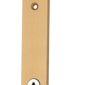 Locking Flush Bolt - 300mm