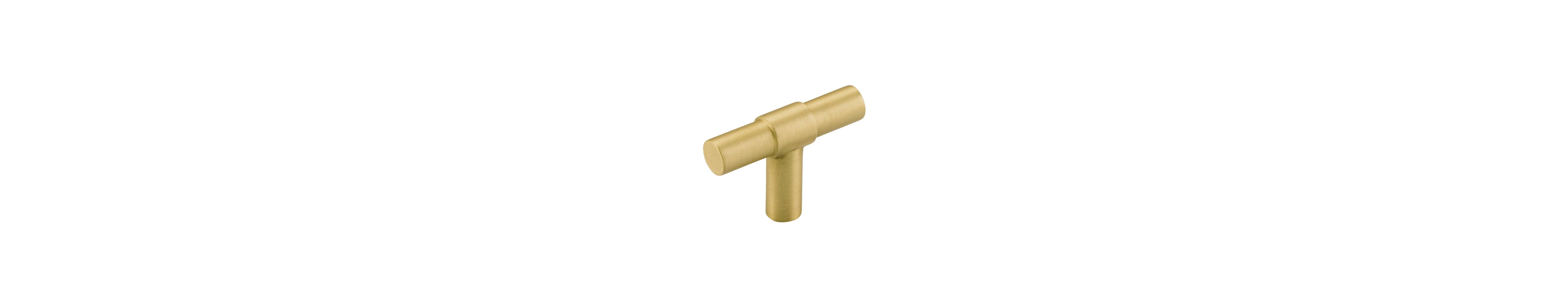 17150 - Helsinki T Cabinet Pull - Brushed Gold PVD