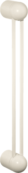 Bone