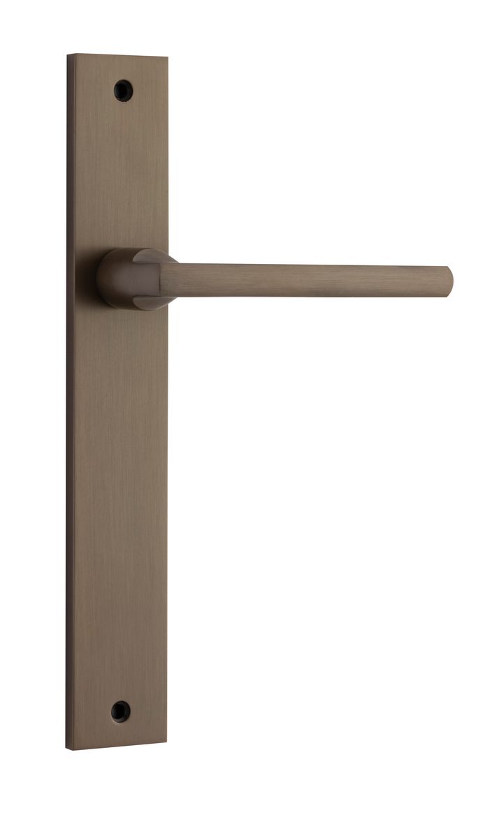10702 - Baltimore Lever - Rectangular Backplate - Signature Brass - Passage