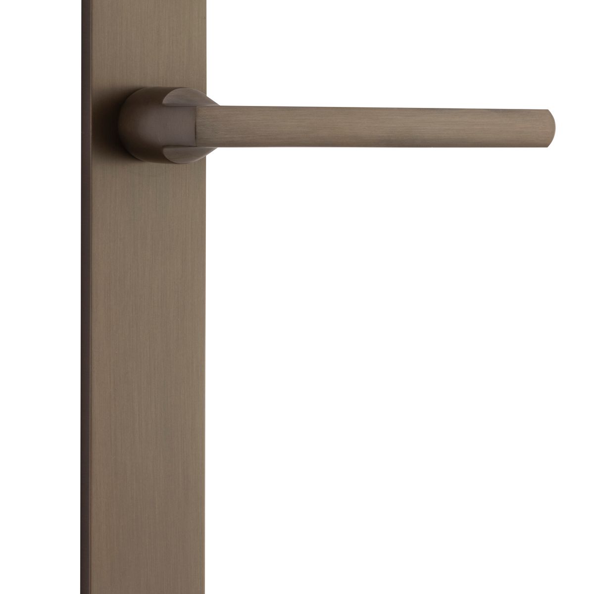 10702 - Baltimore Lever - Rectangular Backplate - Signature Brass - Passage