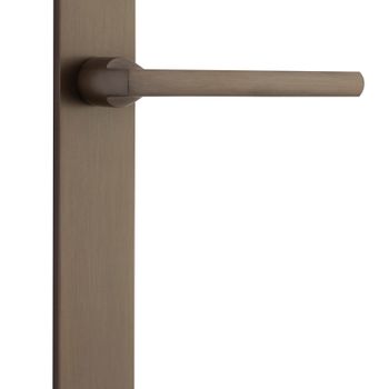 Baltimore Lever - Rectangular Backplate