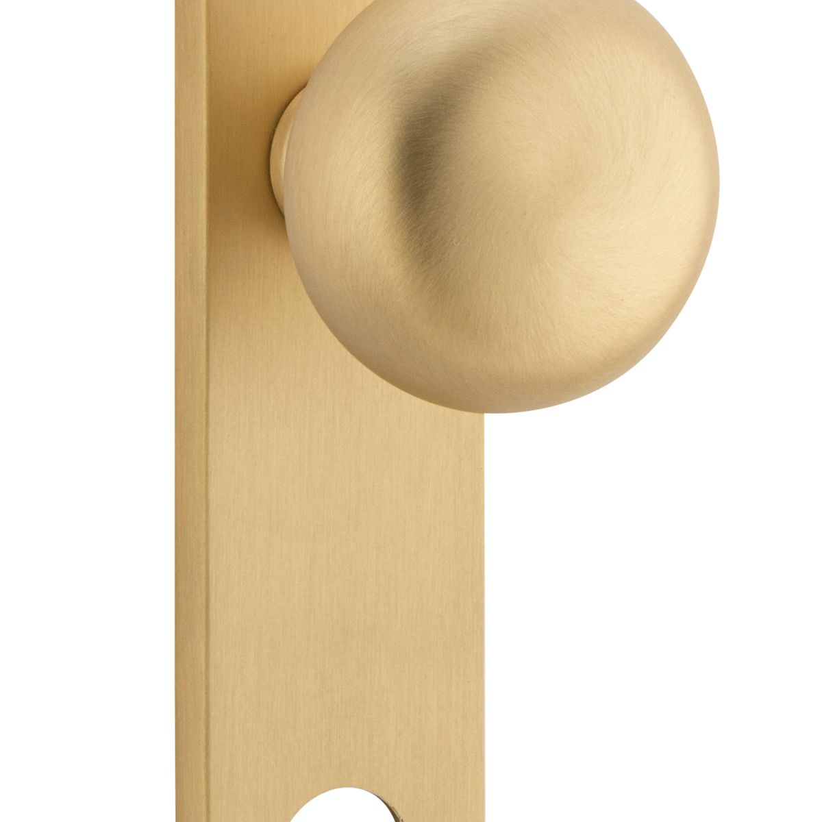 15334E85 - Cambridge Knob - Oval Backplate - Brushed Brass - Entrance