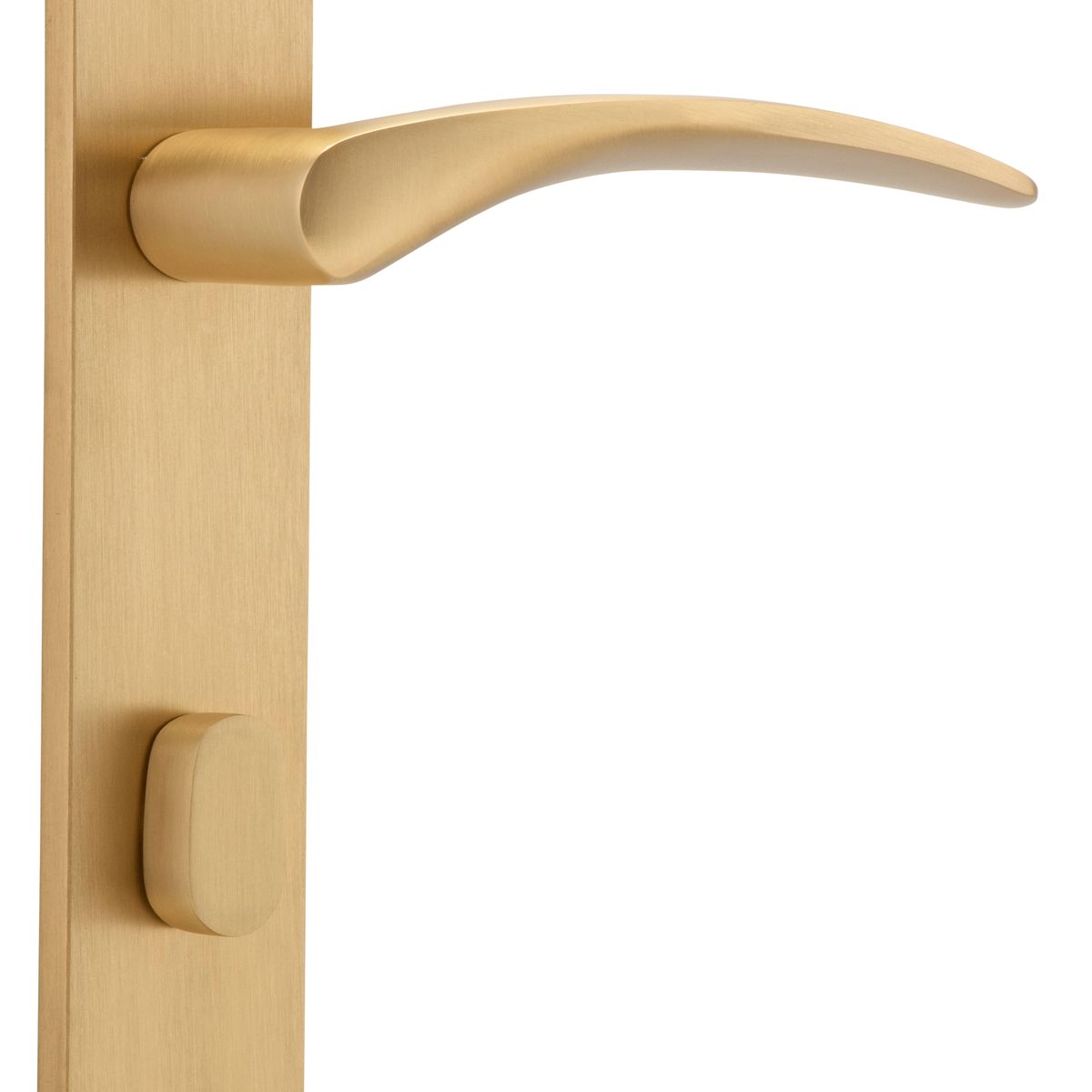 15728P85 - Oxford Lever - Oval Backplate - Brushed Brass - Privacy