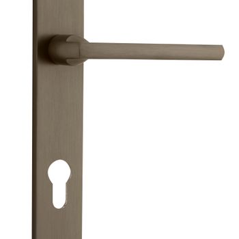 Baltimore Lever - Rectangular Backplate